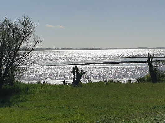 Wechselpunkt an der Elbe.